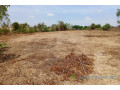 terrain-de-6751-m2-vers-notto-diobass-small-1