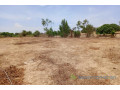 terrain-de-6751-m2-vers-notto-diobass-small-0