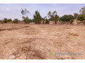 terrain-de-6751-m2-vers-notto-diobass-small-2