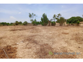 Terrain de 6751 m² vers Notto Diobass