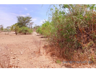 Terrain de 6840 vers Notto Diobass