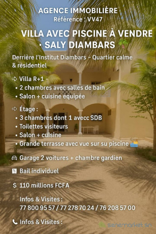 villa-big-0
