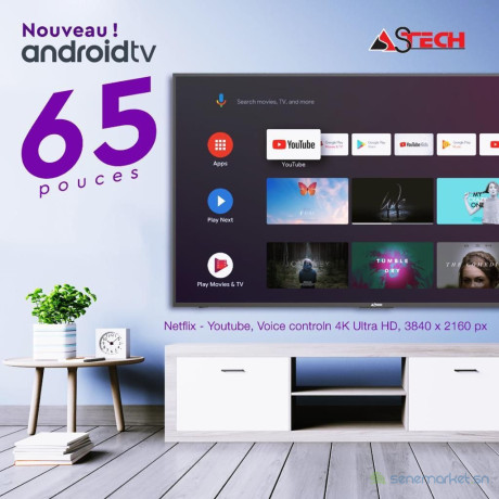 televiseur-astech-65-big-0