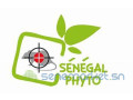 desinsectisation-deratisation-small-0