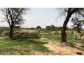 terrain-de-275-metres-carres-a-vendre-a-folokh-senegal-small-2