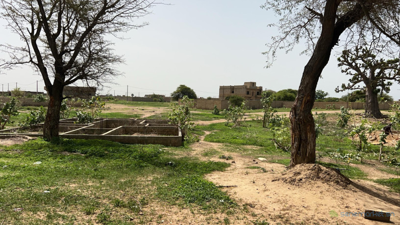 terrain-de-275-metres-carres-a-vendre-a-folokh-senegal-big-2