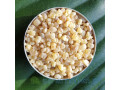 thiouraye-liiban-zakar-small-0