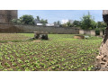 terrain-de-555-metres-carres-a-vendre-a-malicounda-senegal-small-0