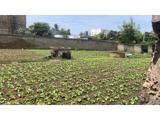 Terrain de 555 mètres carrés à vendre à Malicounda Sénégal