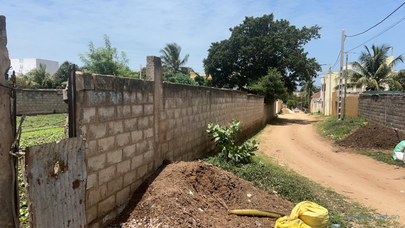 terrain-de-555-metres-carres-a-vendre-a-malicounda-senegal-big-1