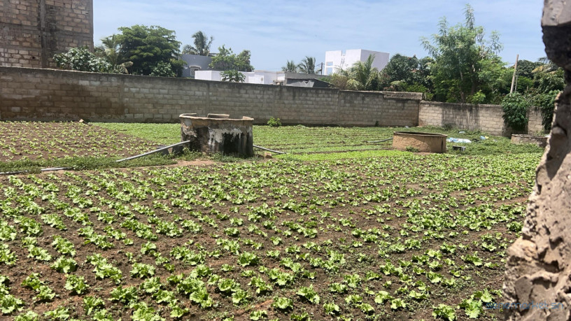 terrain-de-555-metres-carres-a-vendre-a-malicounda-senegal-big-0