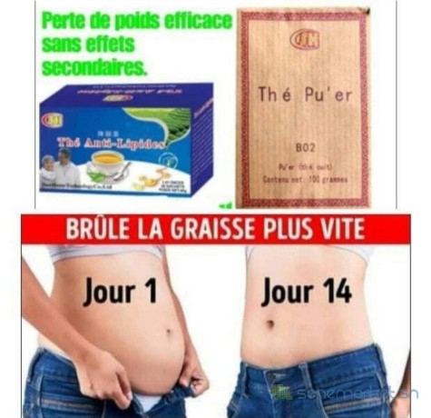 machine-minceur-oreiller-massage-the-amaigrissants-big-2