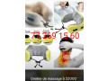 machine-minceur-oreiller-de-massage-the-minceur-small-2
