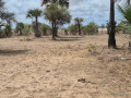 terrain-de-600-metres-carres-a-vendre-a-ndayane-senegal-small-2