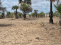 terrain-de-600-metres-carres-a-vendre-a-ndayane-senegal-small-1