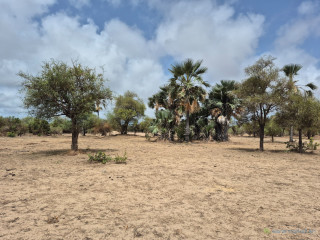 Terrain de 600 mètres carrés à vendre à Ndayane Sénégal