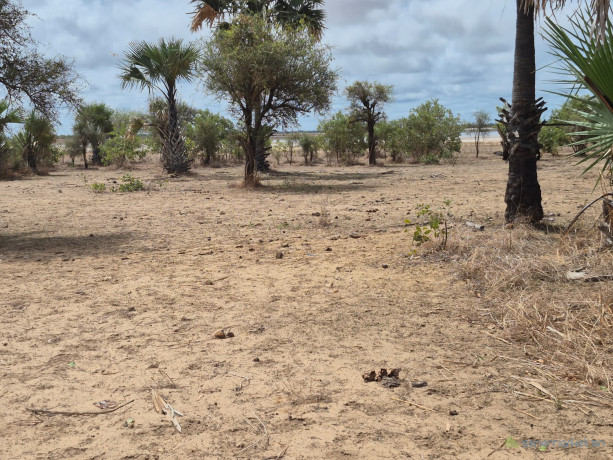 terrain-de-600-metres-carres-a-vendre-a-ndayane-senegal-big-2