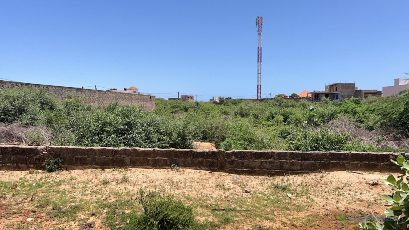 terrains-de-300-metres-carres-a-vendre-a-somone-extension-big-0