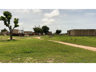 Terrain de 500 mètres carrés à vendre à Mbour Sinthiou
