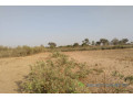 terrain-de-6928-m2-vers-tataguine-small-2