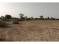 terrain-de-6928-m2-vers-tataguine-small-0