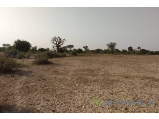 Terrain de 6928 m² vers Tataguine