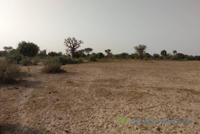 terrain-de-6928-m2-vers-tataguine-big-0