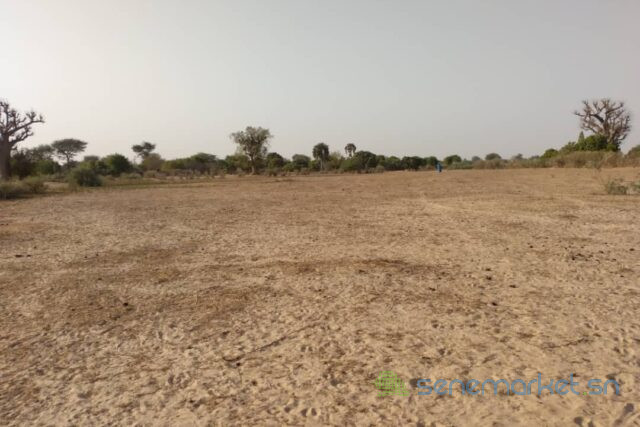terrain-de-6928-m2-vers-tataguine-big-1