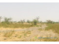 terrain-de-7-hectares-vers-ngueniene-small-2