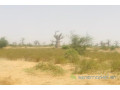 terrain-de-7-hectares-vers-ngueniene-small-1
