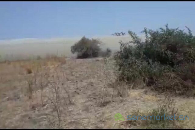 terrain-de-7-hectares-vers-ngueniene-big-0