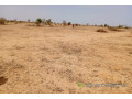 terrain-de-736-hectares-vers-kebemer-small-2