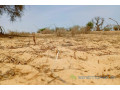 terrain-de-736-hectares-vers-kebemer-small-0
