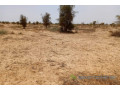 terrain-de-736-hectares-vers-kebemer-small-1