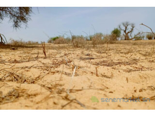 Terrain de 7,36 hectares vers Kébémer