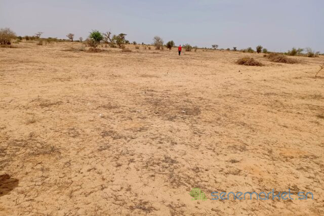 terrain-de-736-hectares-vers-kebemer-big-2