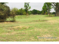 terrain-de-7007-m2-vers-diender-small-1