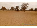 terrain-de-7130-m2-vers-touba-toul-small-2