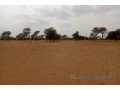 terrain-de-7130-m2-vers-touba-toul-small-0