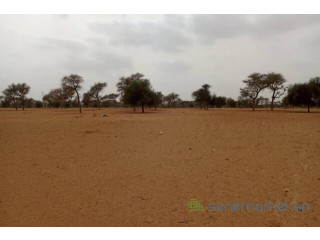 Terrain de 7130 m² vers Touba Toul