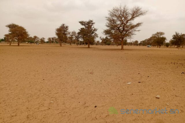 terrain-de-7130-m2-vers-touba-toul-big-2
