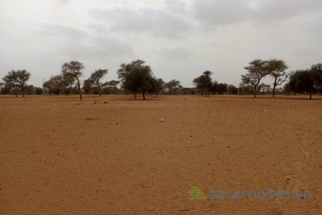 terrain-de-7130-m2-vers-touba-toul-big-0