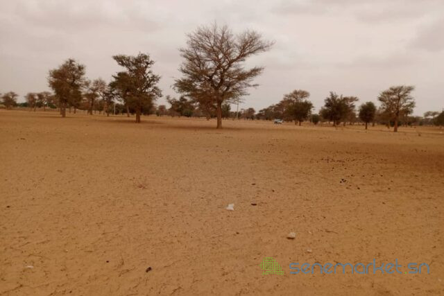 terrain-de-7130-m2-vers-touba-toul-big-1