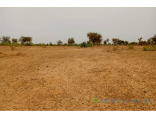 Terrain de 7500 m² vers Khombole