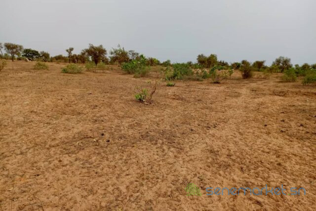 terrain-de-7500-m2-vers-khombole-big-2