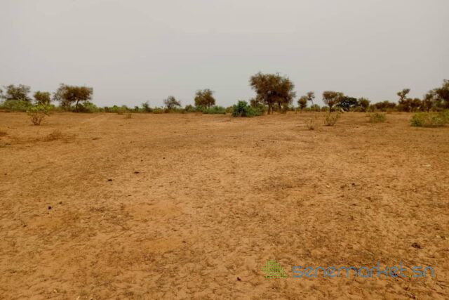 terrain-de-7500-m2-vers-khombole-big-0
