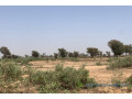 terrain-de-7842-m2-vers-notto-diobass-small-2