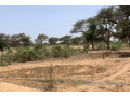 terrain-de-7842-m2-vers-notto-diobass-small-1