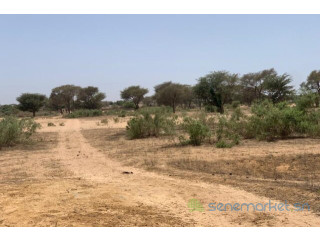 Terrain de 7842 m² vers Notto Diobass
