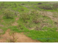 terrain-de-8-hectares-vers-mbodiene-small-0